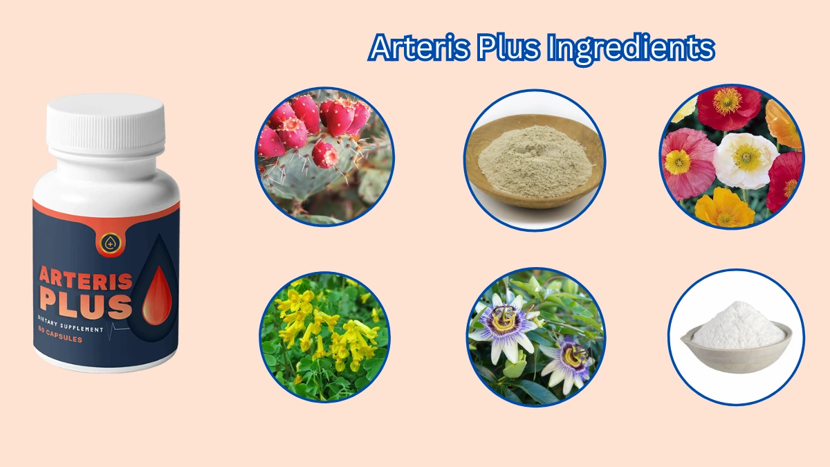 Arteris Plus Ingredients