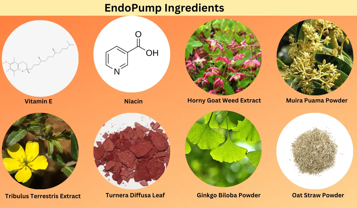 EndoPump Supplement Ingredient