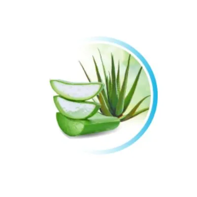 Aloe Vera Ingredient