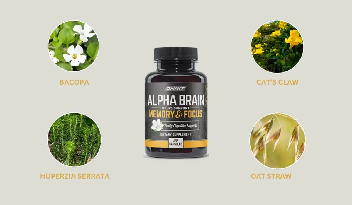 Alpha Brain Ingredients
