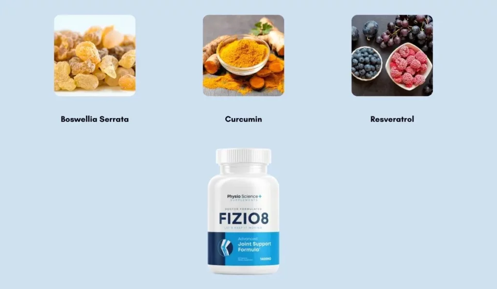 Fizio8 Ingredients