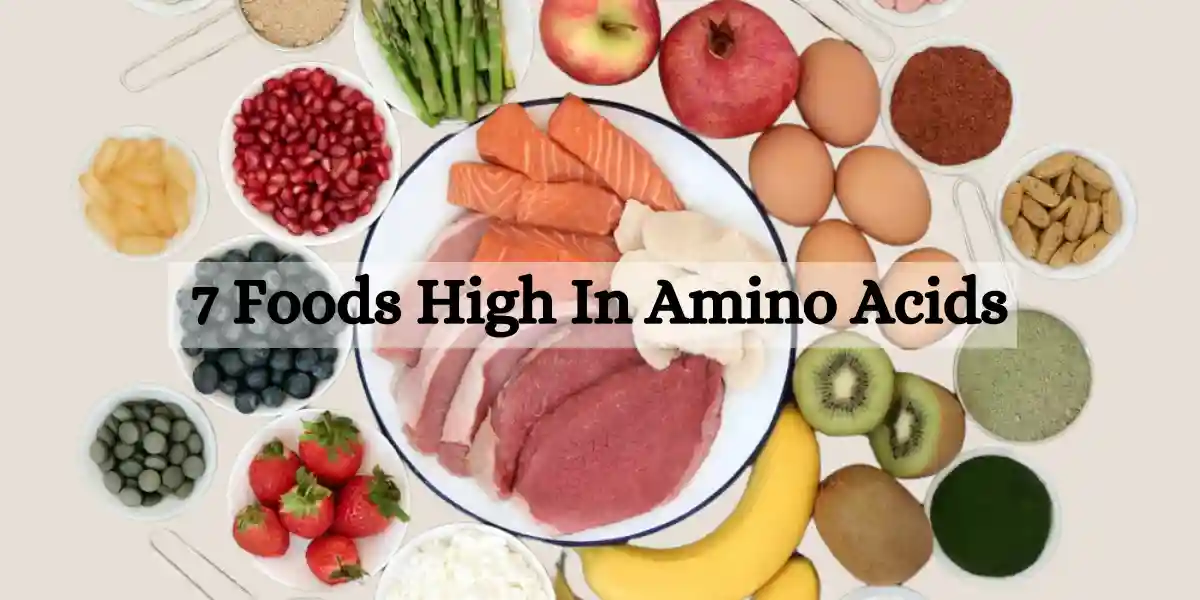 Foods Are High In Amino Acids