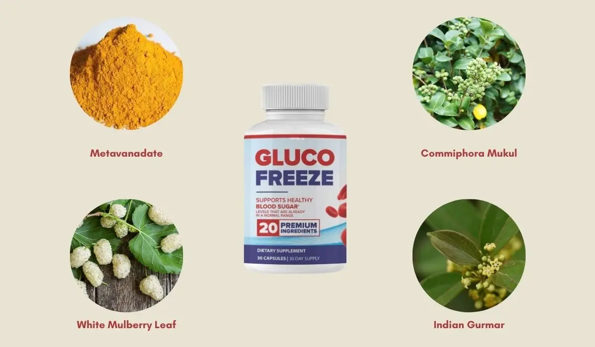 GlucoFreeze Ingredients