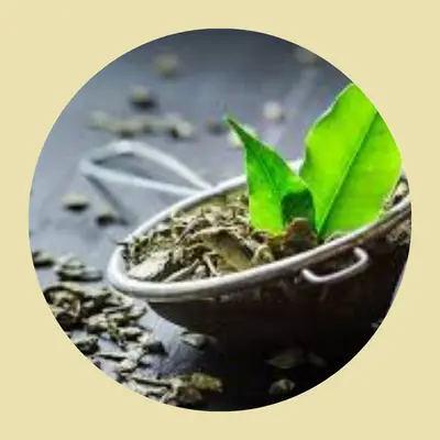 KetoVex Keto BHB Gummies Ingredient Green Tea Extract