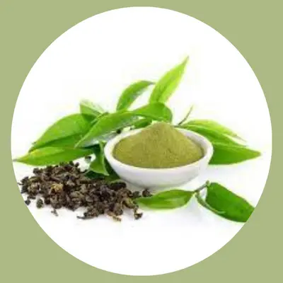 MetaLean Complete Ingredient Green Tea Leaf Extract 