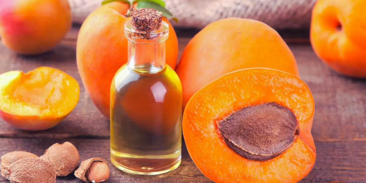 Source Of Apricot Kernel Oil