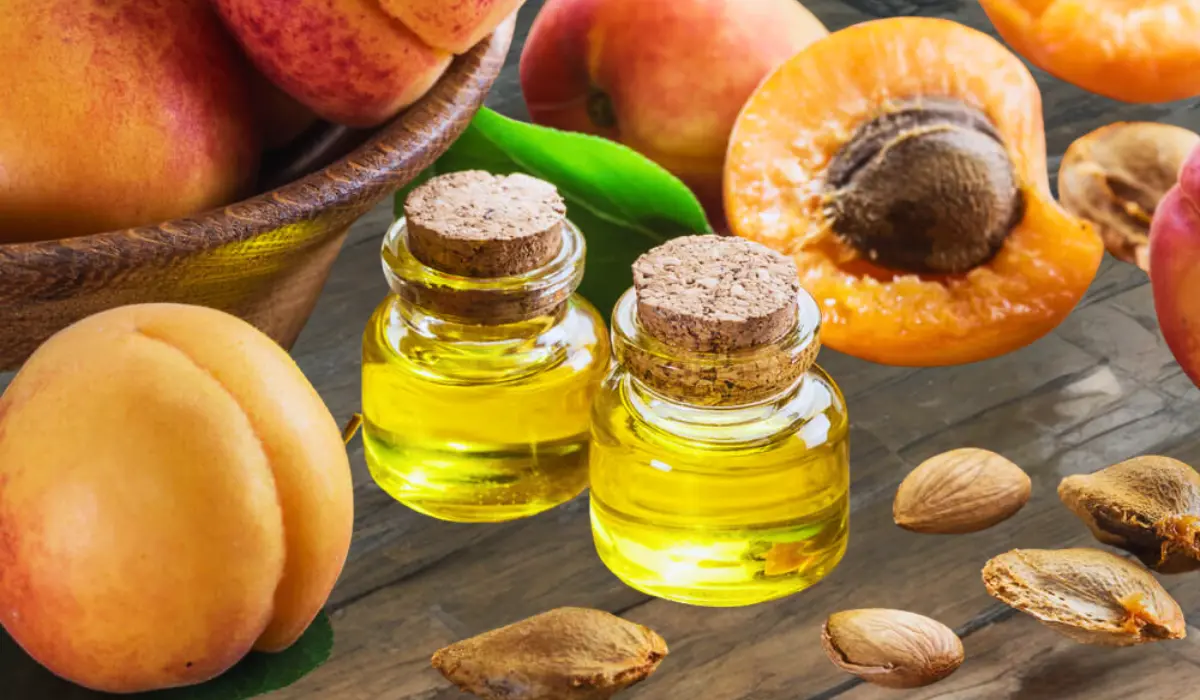Benefits Of Using Apricot Seed Oil
