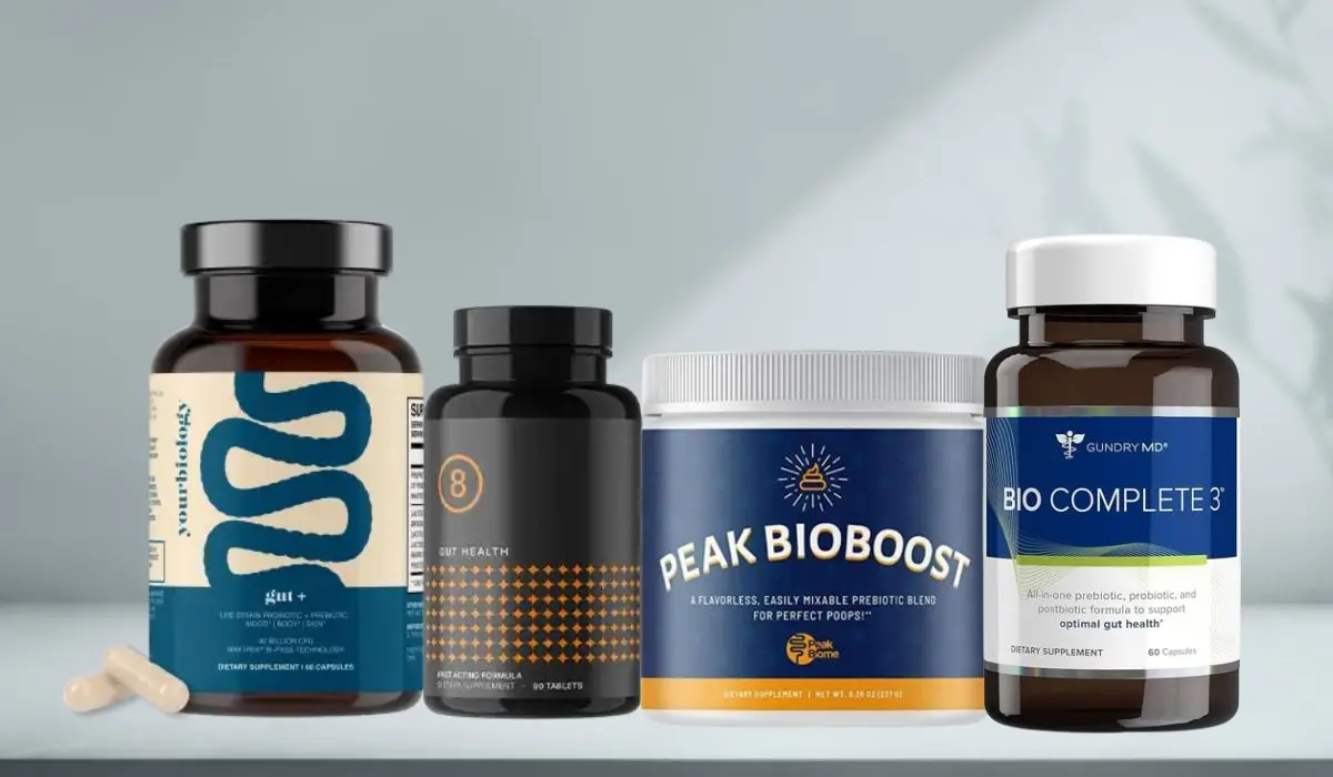 Best Leaky Gut Supplements To Cure Your Gut Issues
