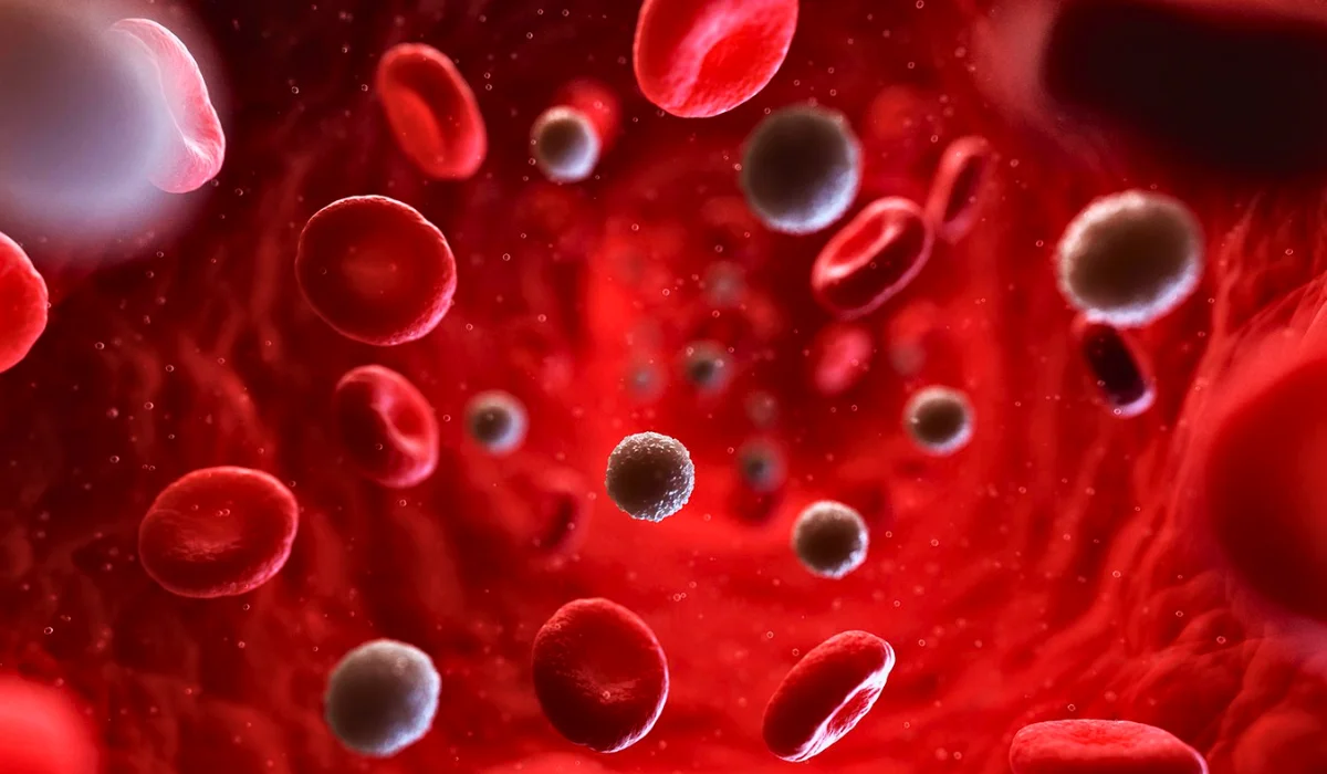 Corpuscular Hemoglobin (MCH) Blood Tests