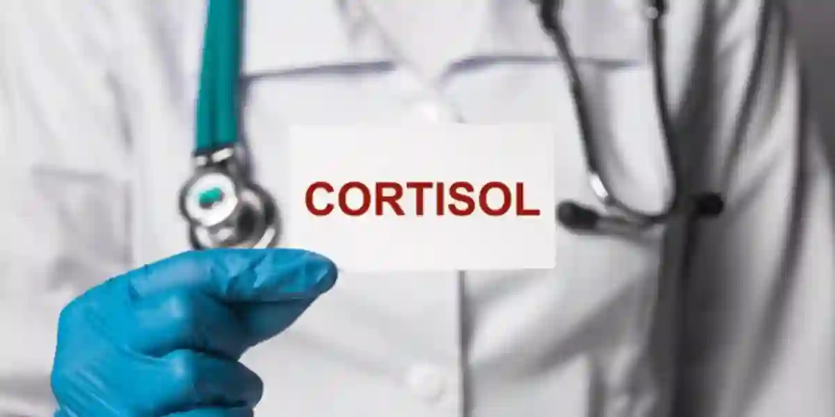 Cortisol And Its Effect On The Body