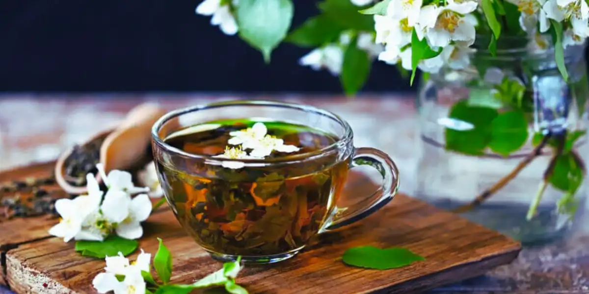 Jasmine Tea Benefits