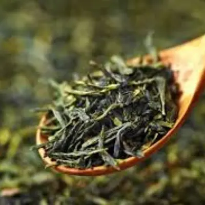 MitoLean Ingredient Green Leaf Tea