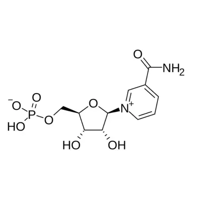 NMN (nicotinamide mononucleotide) 