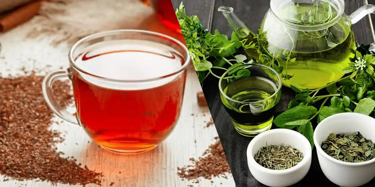 Nutritional Comparison Rooibos Tea vs Green Tea