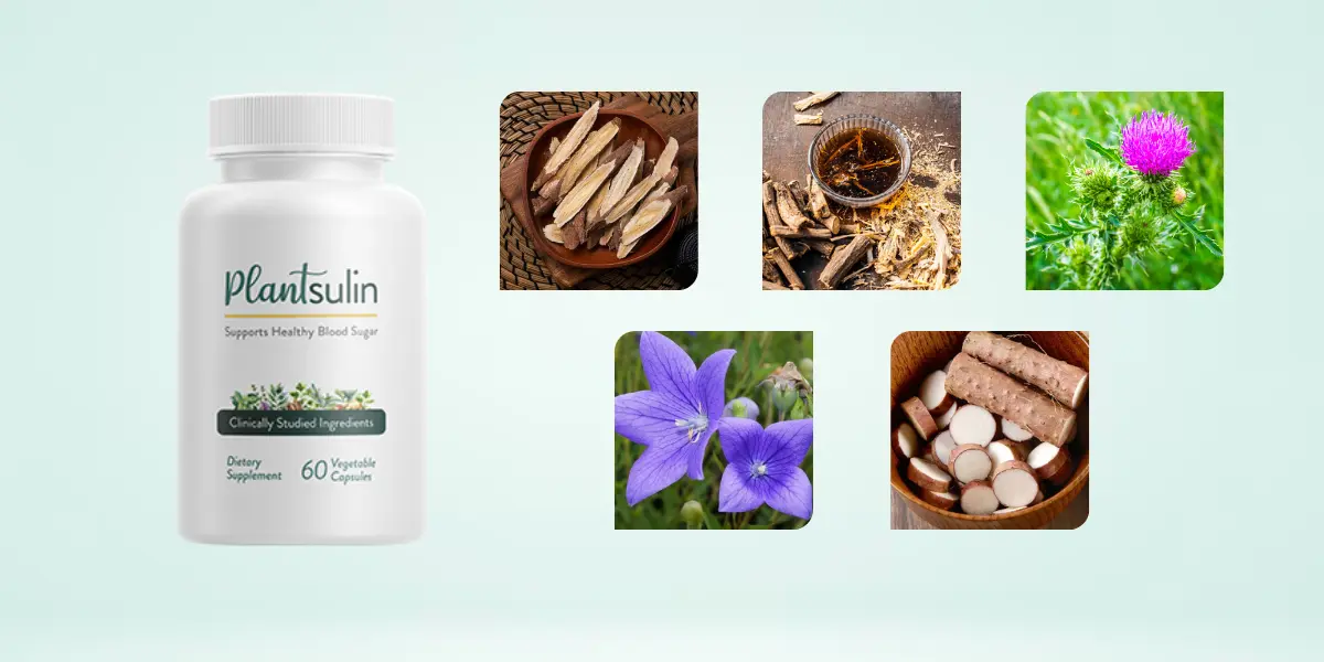 Plantsulin Ingredients
