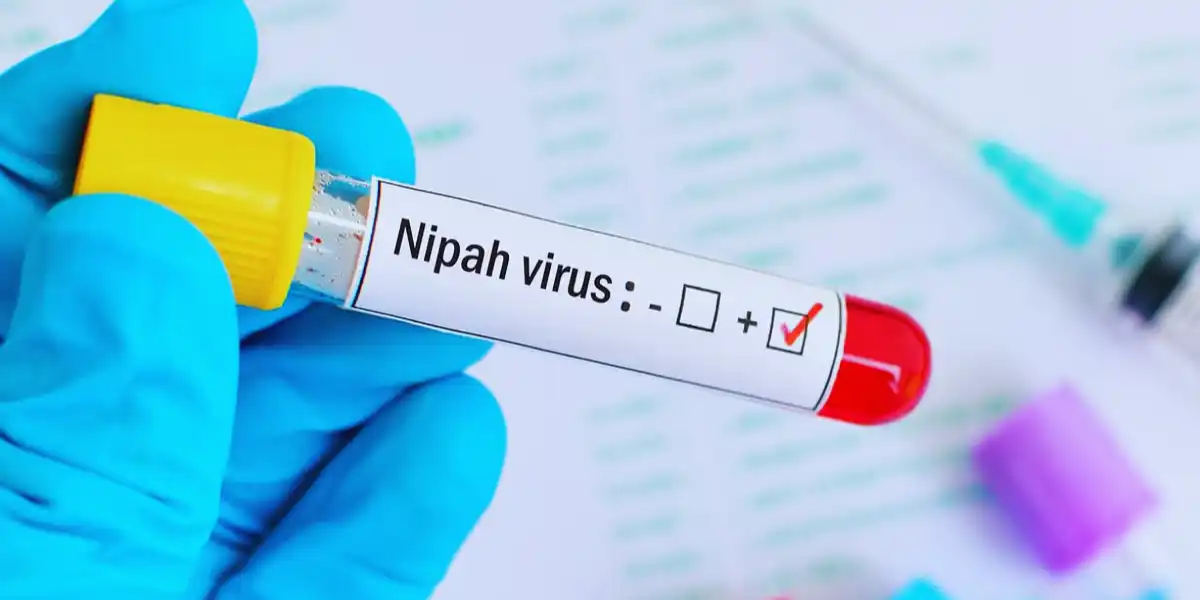 Symptoms Of Nipah Virus 