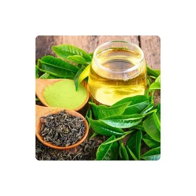 Green Tea Extract Ingredient